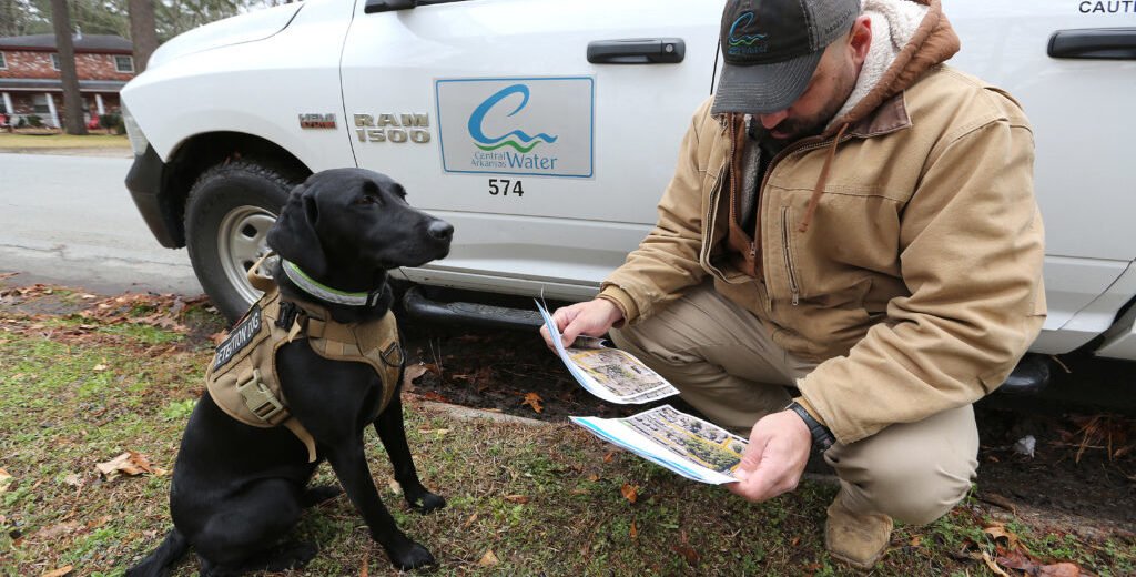 Rescue Dog Team Collaborates with Utilis to “Find Leak” hero image