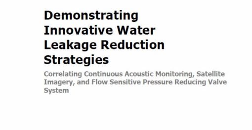 Finding Leaks: The Role of Satellite Leak Detection