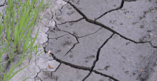 Creating Drought Resilience With Satellite Technology