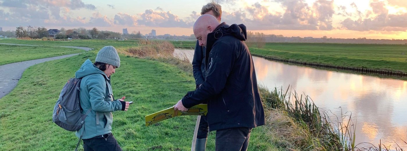 Netherlands Dikes and Levees: Effective Flood Defenses hero image